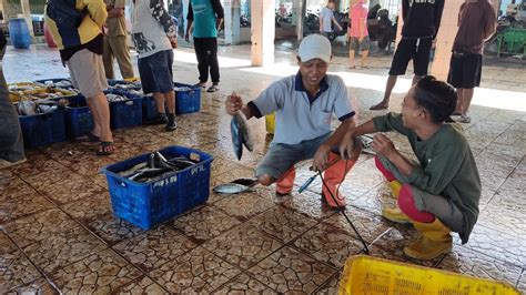 Cuaca Normal Lelang Ikan Tpi Kembali Berjalan Berita Terkini Jawa