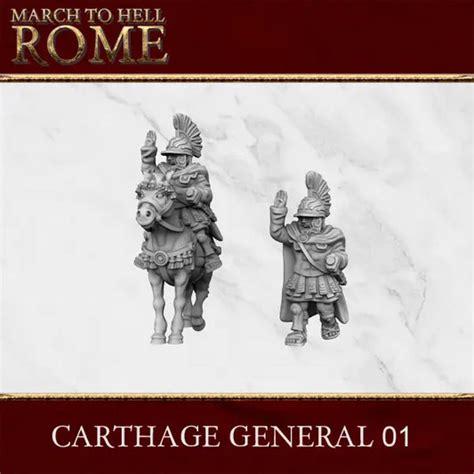 28mm Carthaginian Army Proxy Wargaming Aus