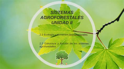 Sistemas Agroforestales By Luis Pardo On Prezi