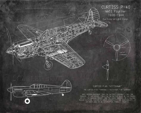 Curtiss P40 WWII Airplane Blueprint Art Version B By ScarletBlvd