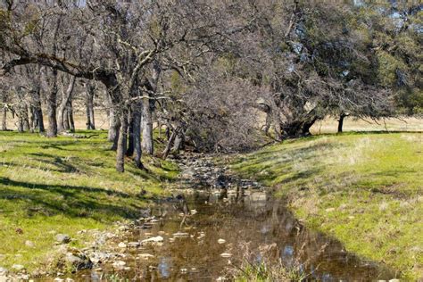 Carmen City Ranch For Sale In Copperopolis Ca Calaveras County