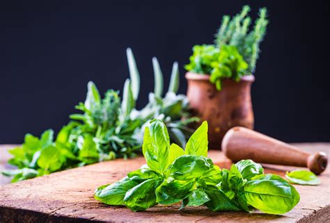 Aromatic Herbs Stock Photo Download Image Now Istock