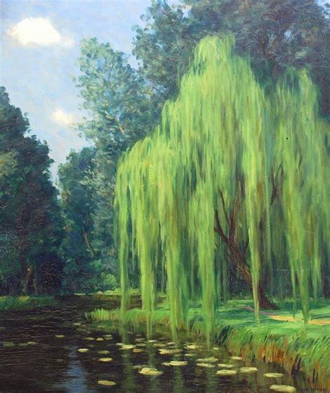 A Painting Of A Willow Tree By The Water