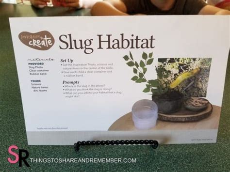 Slug Bug Habitats