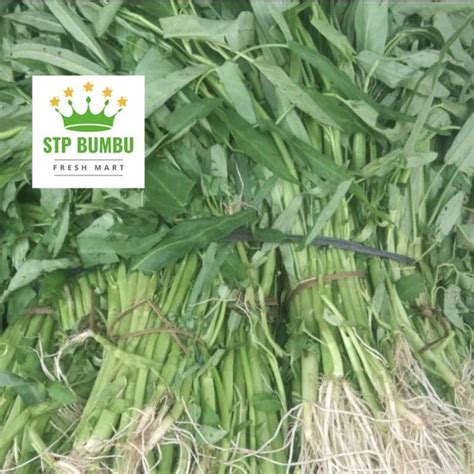 Jual Sayur Kangkung Segar Fresh 250gr Halal Di Seller Stp Bumbu