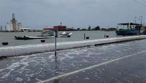 馬路變水路！口湖魚塭掏空、鹿港9公頃農田泡海 20年最嚴重海水倒灌