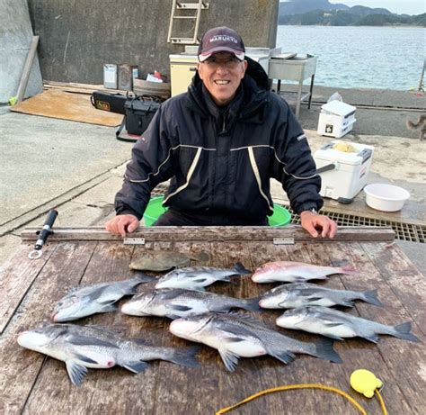 【三重県】カカリ釣り最新釣果情報 年無し含み良型クロダイ続々｜釣りまとめアンテナ