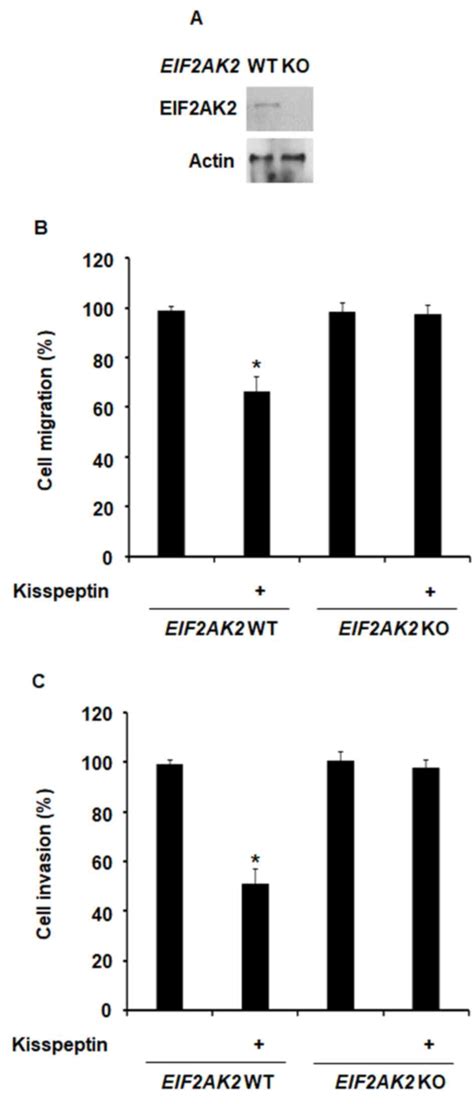 Kisspeptin Inhibits Cancer Growth And Metastasis Via Activation Of EIF2AK2