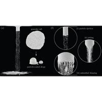 Coat Or Collapse Phys Rev Fluids