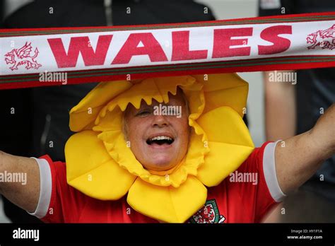 Welsh Fan With Daffodil Outfit Wales V Belgium Euro 2016 Qua Stade