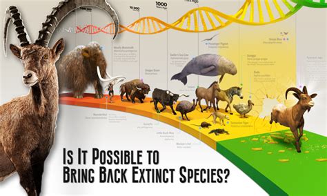 Is It Possible To Bring Back Extinct Animal Species