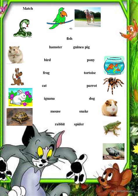 Pets Matching Worksheet English Esl Worksheets Pdf And Doc