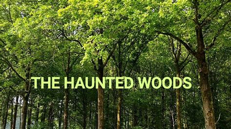 The Haunted Woods Twin Peaks Laura Palmers Theme Van London