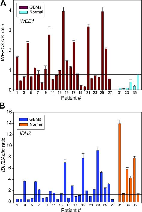 Upregulation Of Wee And Downregulation Of Idh Mrna Expression