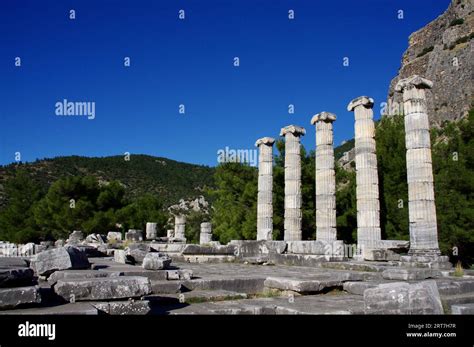 Ancient Columns At The Temple Of Athena Polias From Bc Priene