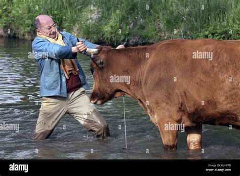 One Man And His Cow Original Title La Vache The Cow Is A