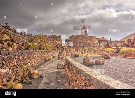 Cactus Garden in Lanzarote Stock Photo - Alamy