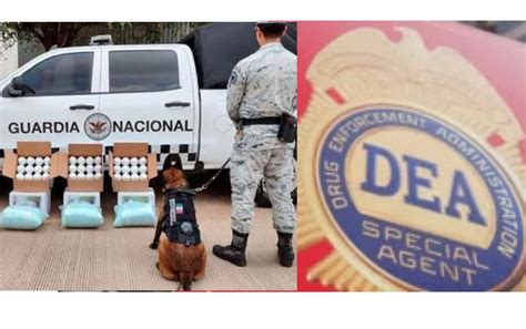 Informe De La Dea Admite Ineficacia Contra Narcos