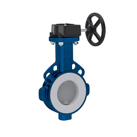 Butterfly Valve Ptfe Ak09 Dn50 Pn10 Pn16 Handwheel Gearbox Fkm Insert