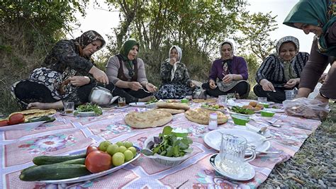 جشن برنج در شمال ایران عکس 11 09 2017 اسپوتنیک ایران