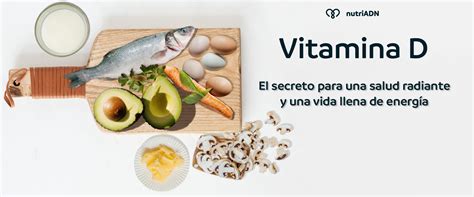 Vitamina D El Secreto Para Una Salud Radiante Y Una Vida Llena De