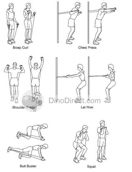 8 Rubber Band Exercises Ideas Band Workout Exercise Workout