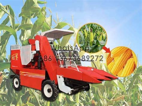 2 Rows Corn Harvester Machine | Corn Combine Harvester Machine