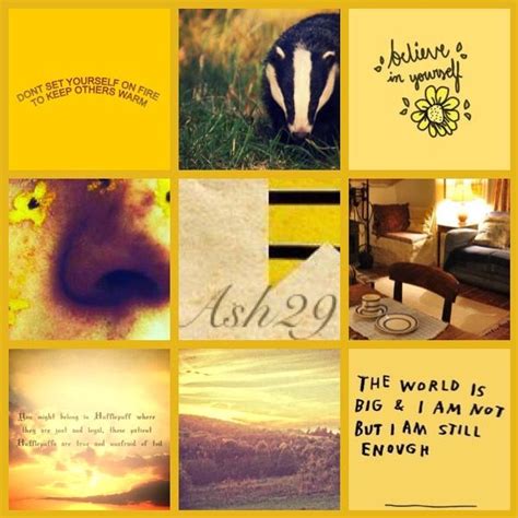 Hufflepuff Aesthetic 1 Hufflepuff Aesthetic Hufflepuff Pride Hufflepuff