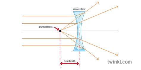 Concave Lens Diverging Science Physics Secondary Twinkl