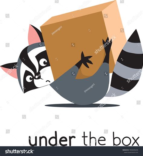 Preposition Place Raccoon Under Box Stock Vector Royalty Free 1850690230 Shutterstock