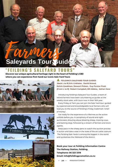 Feilding Saleyard Tours Feilding Manawatu Nz