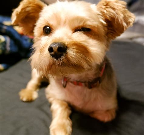 Her winky face ;) : r/aww