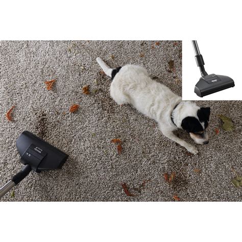 Miele Complete C3 Cat & Dog PowerLine Vacuum Cleaner with EcoTeQ ...