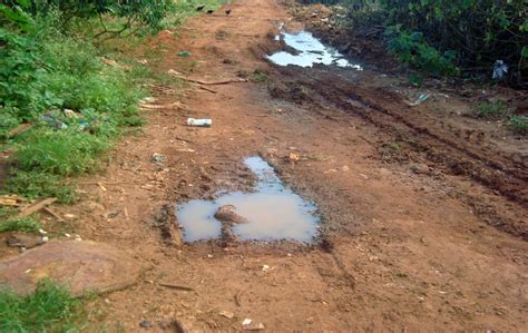 Imagens mostram problemas de esgoto a céu aberto em Américo Brasiliense