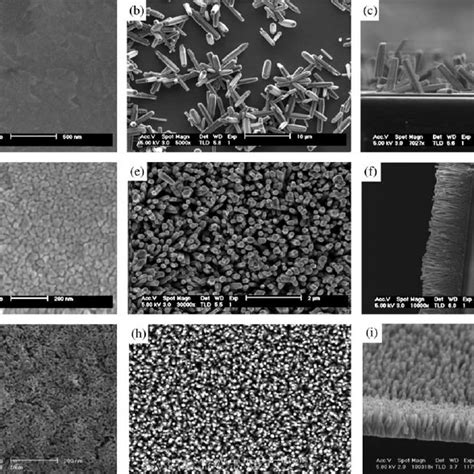 SEM Images Of ZnO Nanorods And Corresponding Substrates A Unmodified