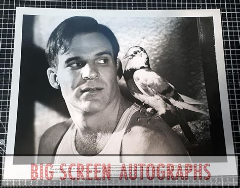 Steve Martin original press photo C | Big Screen Autographs