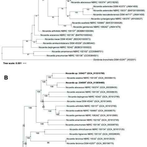 Phylogenetic Trees Based On S Rrna Gene A And Genome Sequences B