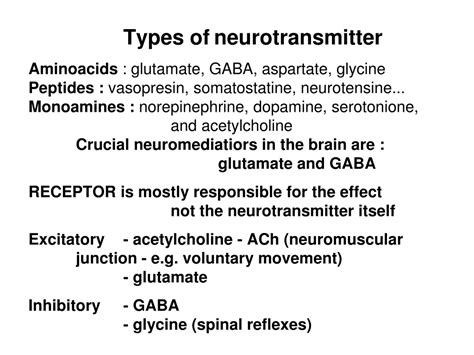 Ppt Biophysics Of Action Potential Synapse Powerpoint Presentation