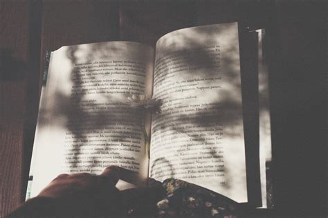 Vintage Books Photography Hd