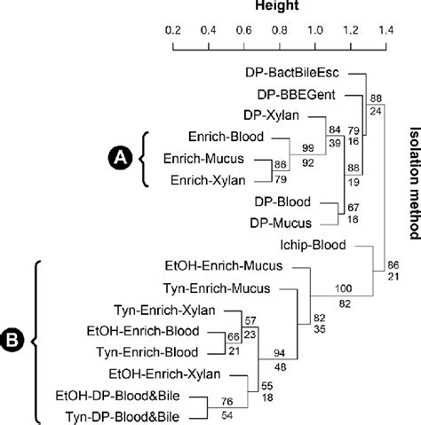 Dendrograms Of Euclidean Distances Generated Through The Upgma Function