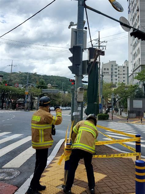 영남 지방에서 강풍 피해 속출부산서 2명 부상 태풍 난마돌 네이트 뉴스