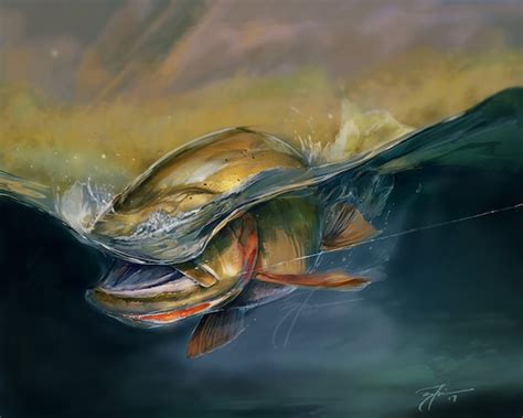 Trout Fly Fishing Art