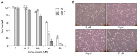 Anti Proliferative Effect Of 1516 Dihydrotanshinone I Through Cell