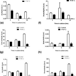 The Effect Of Fgf Ng Ml On A E Mrna Expression And B E