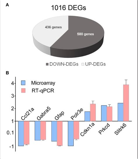 Figure 1 From Comparative Gene Expression Analysis Of Two Mouse Models