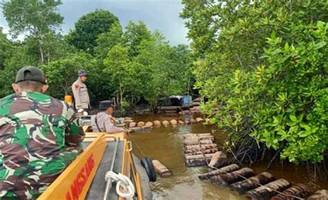Warga Siak Diterkam Buaya Saat Merakit Tual Sagu Di Sungai Riaunews