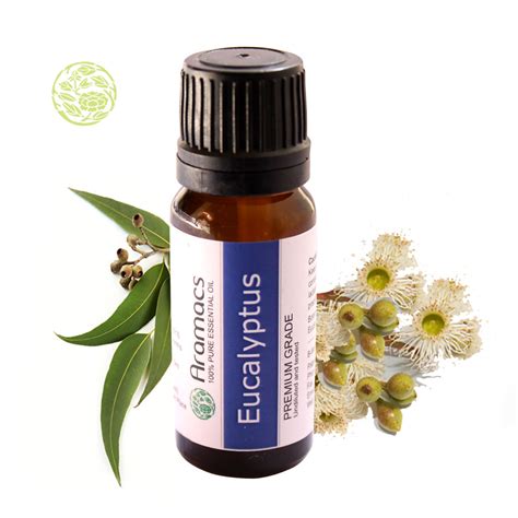 Eucalyptus Essential Oil Where To Buy Eucalyptus Oil