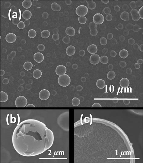 Blistering Of The Surface Of W Film A Blisters With Size Of Several