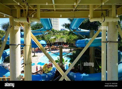 Bonita Springs Fl 30 Jan 2020 A Giant Aquatic Water Slide In A Swimming Pool At The Hyatt