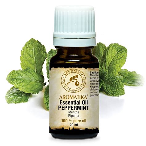 Pfefferminz L Ml Mentha Piperita Therisches L Minze